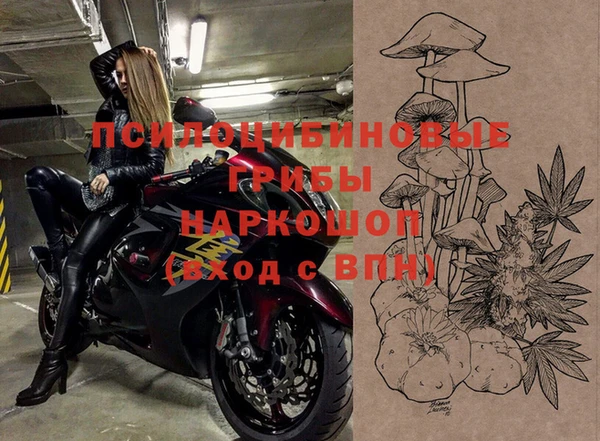 бошки Краснослободск