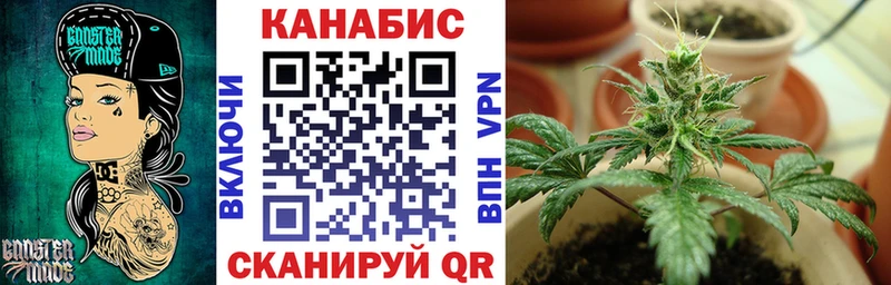 Бошки Шишки SATIVA & INDICA  Купить закладки  Тихвин 